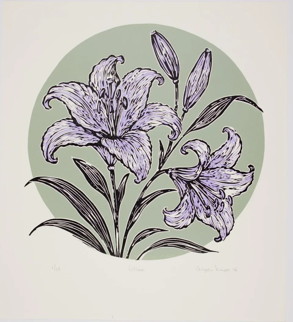 Lilium lelie